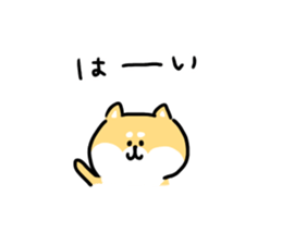 16587417