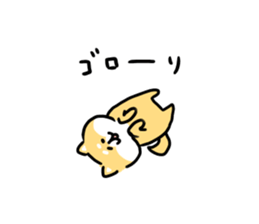 16587423
