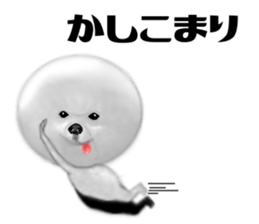 16591230