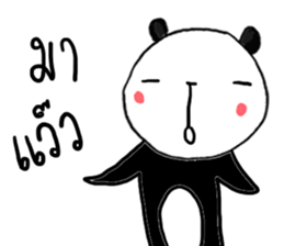 16591377