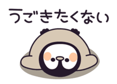 16592706