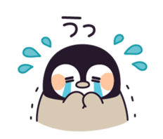 16592726