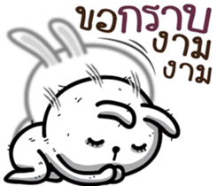 16600568