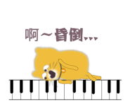 16606482