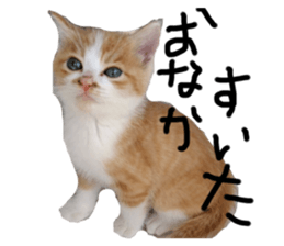 166069270
