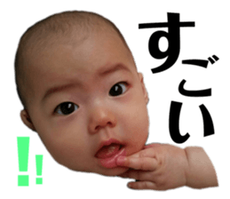 166233852