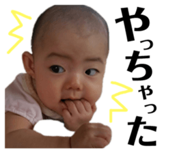 166233853