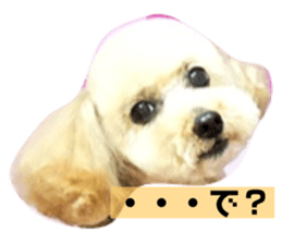 166242497