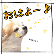 16627234