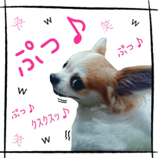 16627242