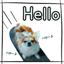 16627914