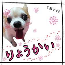 16627916