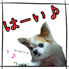 16627917