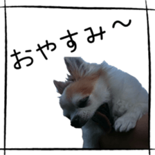 16627919