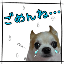 16627920