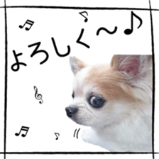 16627923