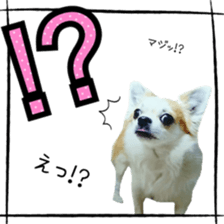 16627927