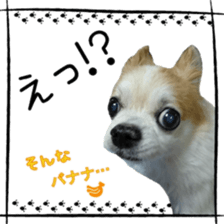 16627928