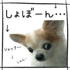 16627931
