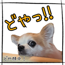 16627937