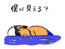 16628216