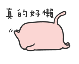 16637160