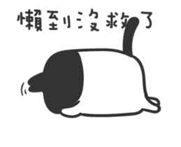 16637161