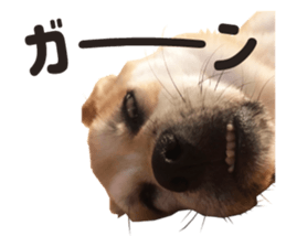 166446175