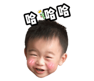 166446377
