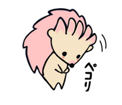 16653509