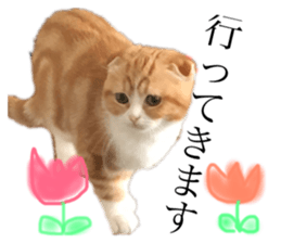 166557624