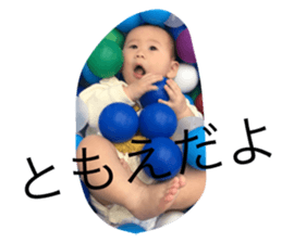 166584309