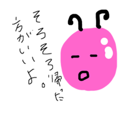166586446