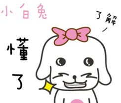 166876365