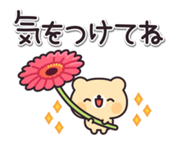 166882144