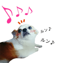 16688975