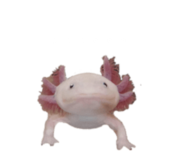 166890898