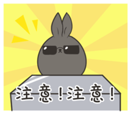 16694358