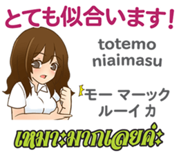 16695262