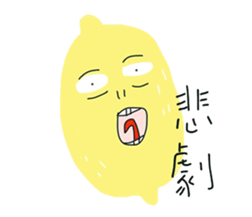 16699469