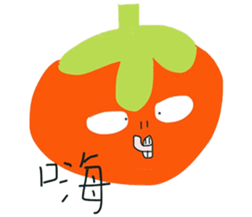 16699474