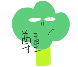 16699478