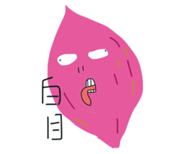 16699493