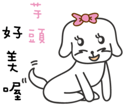 167022748