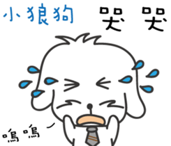 167027016