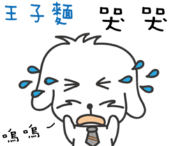 167032702