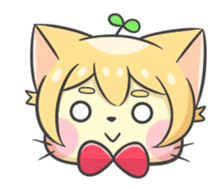 16703538