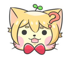 16703552