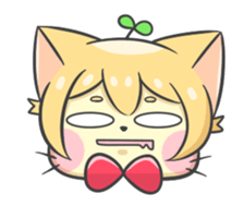 16703554