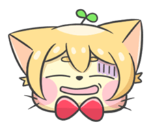 16703555